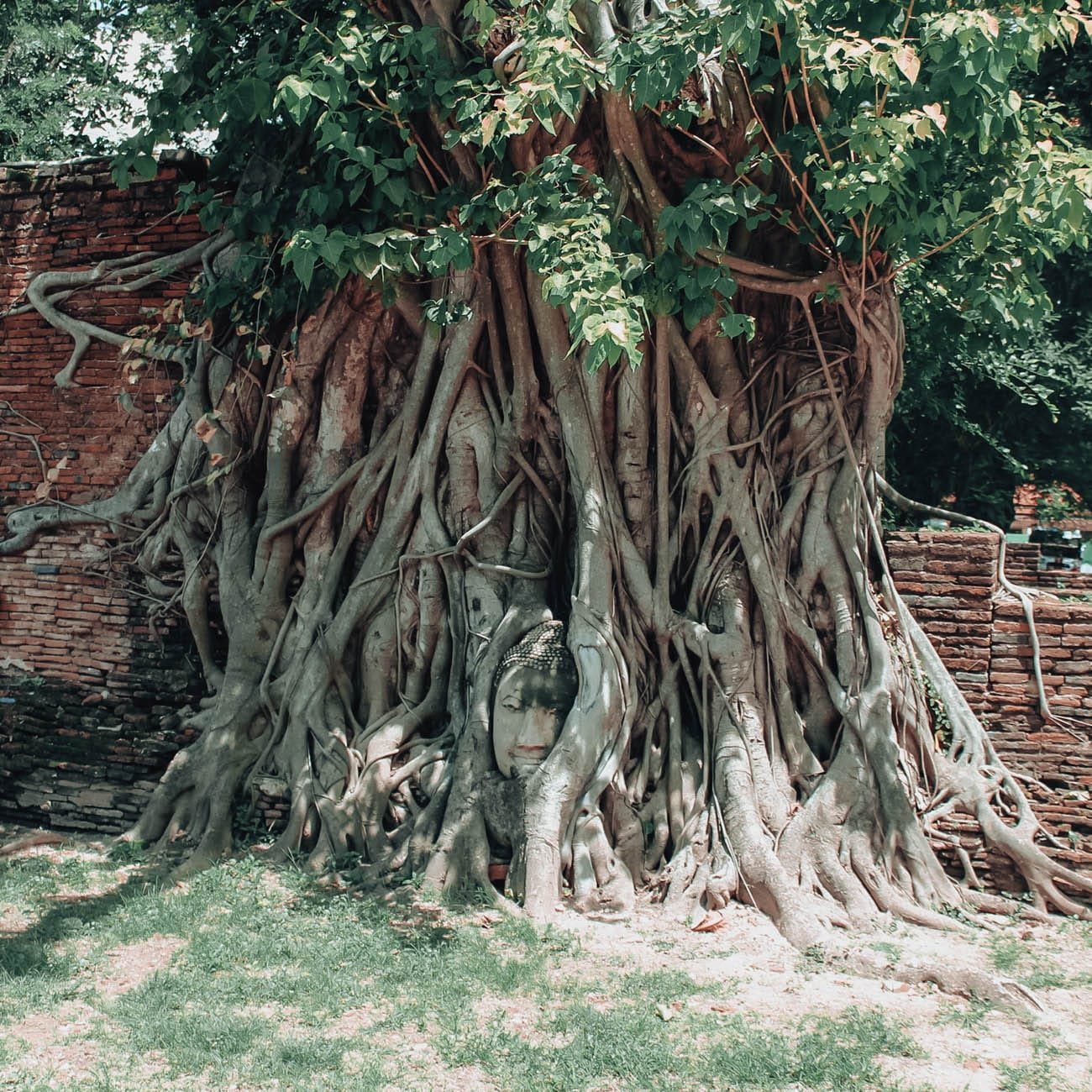 Ayutthaya